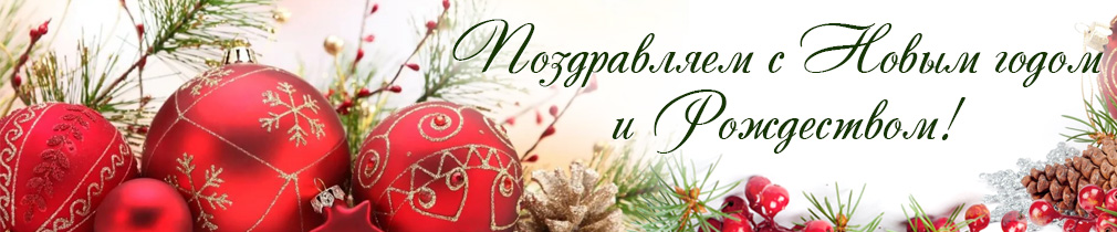 С новым 2026 годом! - фото